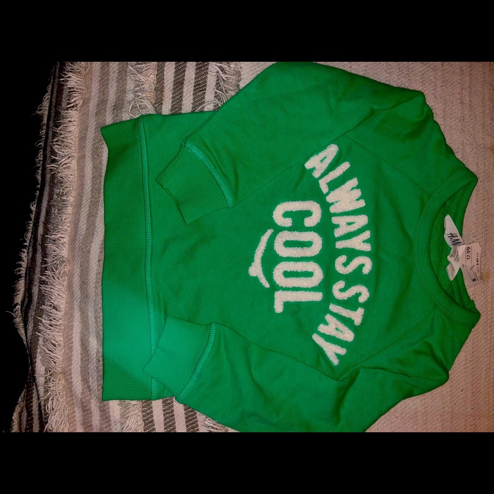 NWT sweatshirt 2-4yrs